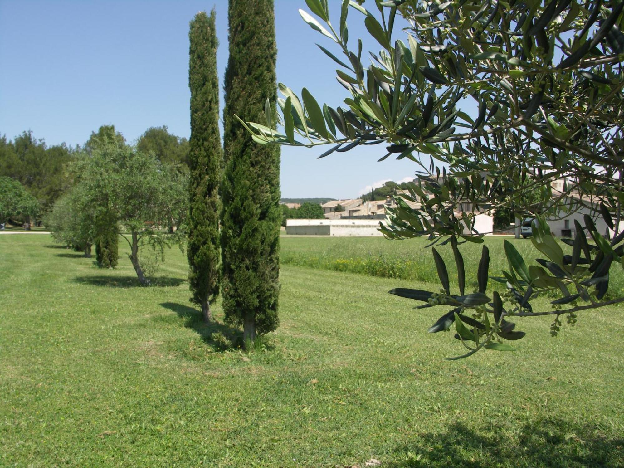 Domaine Saint Martin Hotel Valliguieres Luaran gambar